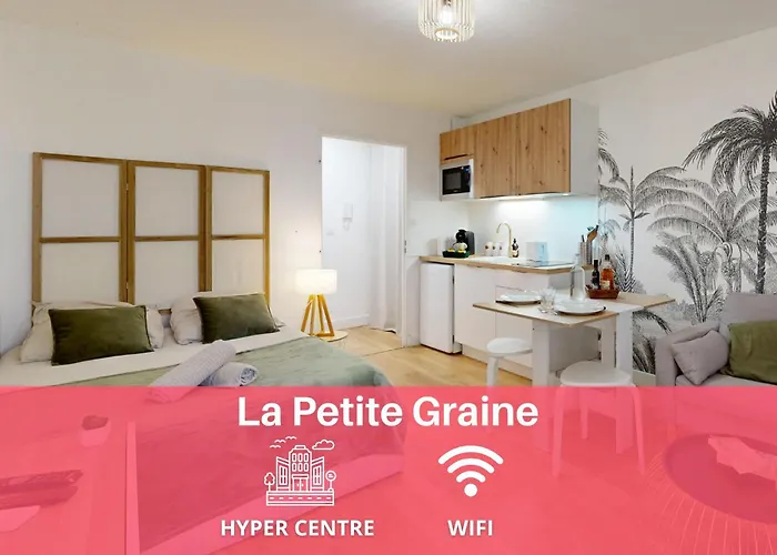 Expat Renting - La Petite Graine - - Wifi Appartement